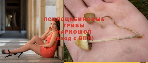 jwh Аркадак