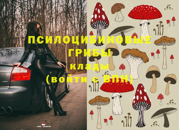 прущие крисы Армянск
