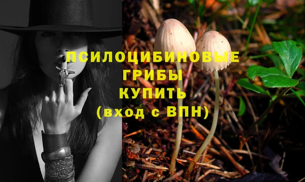 прущие крисы Армянск