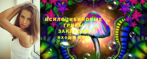 прущие крисы Армянск
